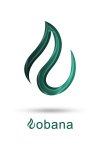 گروه ساختمانی نوبنا